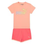 Setjes Puma BB SET ABRI