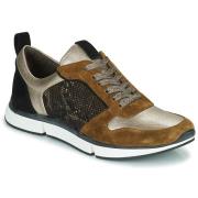 Lage Sneakers Adige VANILLE2 V3 GALAXY ONYX