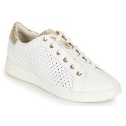 Lage Sneakers Geox D JAYSEN B