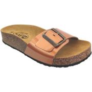 Slippers Plakton Cp bis3