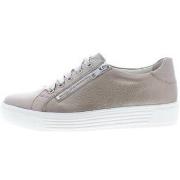 Sneakers Solidus Hazel H