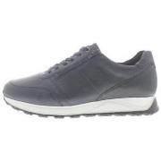 Sneakers Solidus Harry H