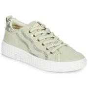 Lage Sneakers Palladium TEMPO 02 CVS~TAUPE~M