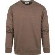 Sweater Colorful Standard Sweater Bruin