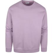 Sweater Colorful Standard Sweater Organic Paars