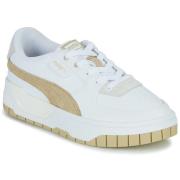 Lage Sneakers Puma Cali Dream Colorpop Wns