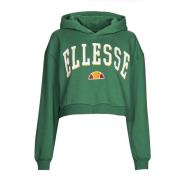 Sweater Ellesse RAMO CROP HOODY