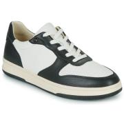 Lage Sneakers Clae MALONE