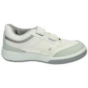 Lage Sneakers Demax -