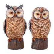 Beeldjes Signes Grimalt Figuur Owl 2-Eenheden