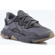 Lage Sneakers adidas Adidas Ozweego Grey GX1832