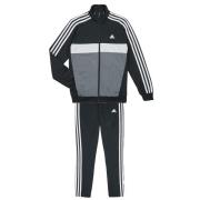 Trainingspak adidas 3S TIBERIO TS