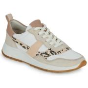 Lage Sneakers Clarks DASHLITE JAZZ