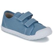 Lage Sneakers Chicco CAMBRIDGE