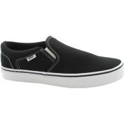 Lage Sneakers Vans VAN-CCC-SEQ1871-BW