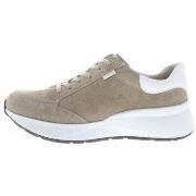 Sneakers Finn Comfort Caseres