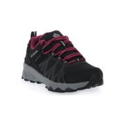 Hardloopschoenen Columbia 010 PEAKFREAK II OUTDRY