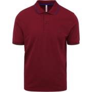 T-shirt Sun68 Poloshirt Small Stripe Bordeaux