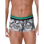 Boxers Code 22 Boxer Palm Boom Code22