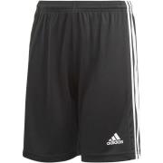 Korte Broek adidas Squad 21 Sho Y