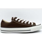 Sneakers Converse All Star Ox Canvas