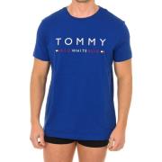 Onderhemden Tommy Hilfiger UM0UM01167-415