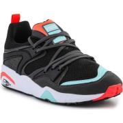 Lage Sneakers Puma Blaze of Glory Reverse Classics 383532 01