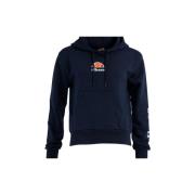 Sweater Ellesse DEVOLLO SW HOODY