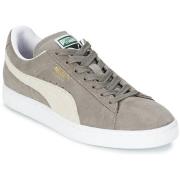 Lage Sneakers Puma SUEDE CLASSIC
