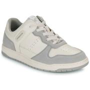 Lage Sneakers Coach C201 SUEDE