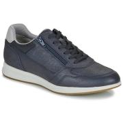 Lage Sneakers Geox AVERY