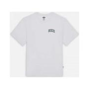 T-shirt Dickies Aitkin chest tee ss