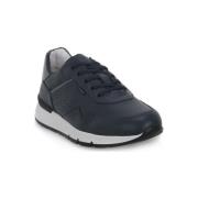 Sneakers NeroGiardini NERO GIARDINI 200 SAUVAGE GRIGIO