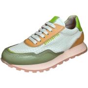 Sneakers Hispanitas -