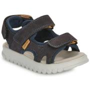 Sandalen Shoo Pom ROLLY BOY SCRATCH