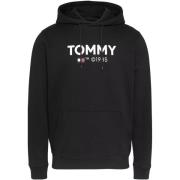 Sweater Tommy Jeans DM0DM18864