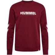 Trui hummel -