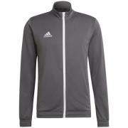 Windjack adidas -