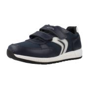 Sneakers Geox JALBEN B