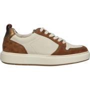 Lage Sneakers Paul Green Sneaker