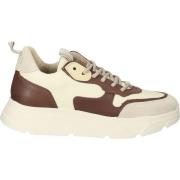 Lage Sneakers Steve Madden Sneaker