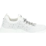 Lage Sneakers Steve Madden Sneaker