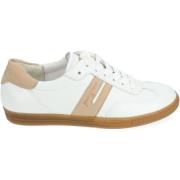 Lage Sneakers Paul Green Sneaker