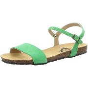 Sandalen Plakton -