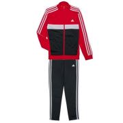 Trainingspak adidas 3S TIBERIO TS