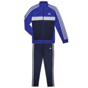 Trainingspak adidas 3S TIBERIO TS