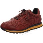 Sneakers Cetti -