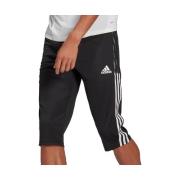 Korte Broek adidas -