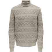 Trui Only &amp; Sons ONSWADE REG 5 STRUC ROLL NECK KNIT 22027158