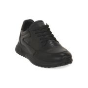 Sneakers IgI&amp;CO SARONNO NERO